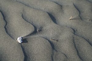Spiaggia di velluto nelle Marche, con sabbia fine e bianca che ricorda la farina.