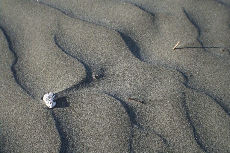 Spiaggia di velluto nelle Marche, con sabbia fine e bianca che ricorda la farina.