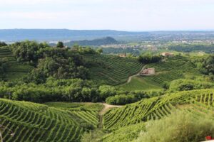 Panorama delle colline del Prosecco con cantine e vigneti, patrimonio UNESCO.