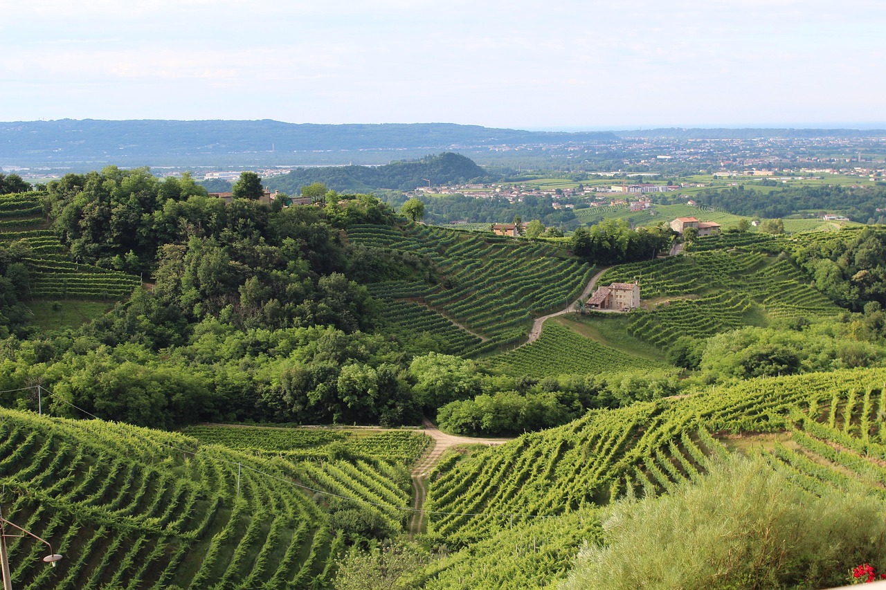 Panorama delle colline del Prosecco con cantine e vigneti, patrimonio UNESCO.