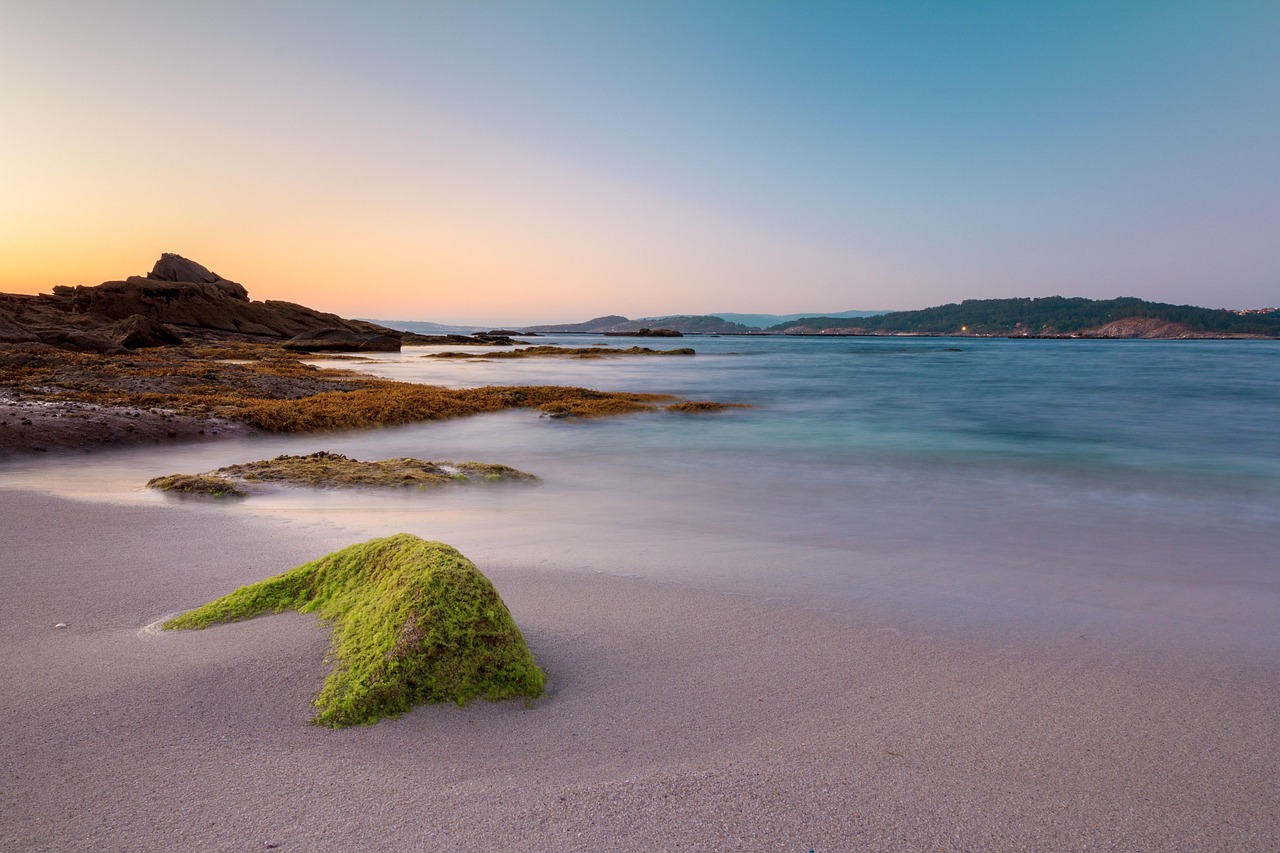 Spiaggia rosa in Sardegna, con sabbia rosa e mare cristallino, vista panoramica da ammirare.